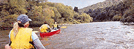 Canoeing Whanganui