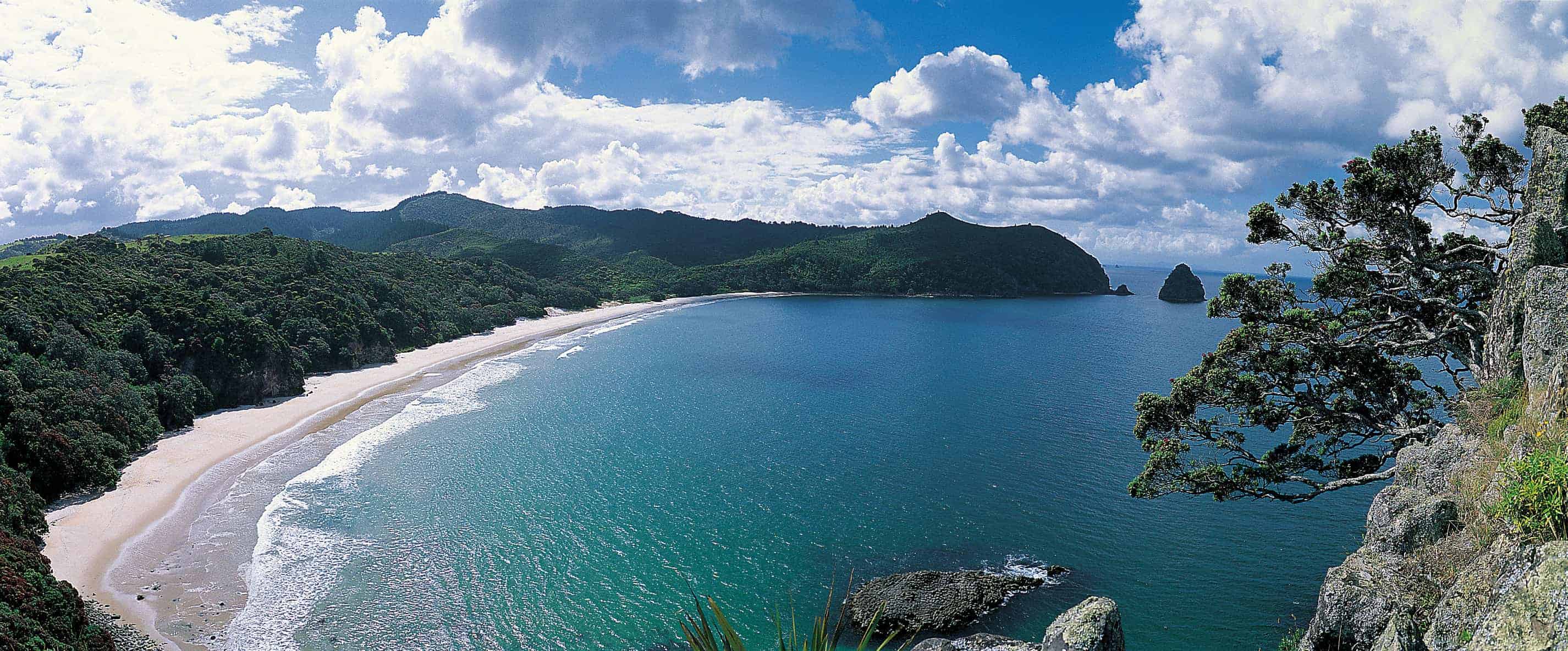 The Coromandel | Explore Central North Island New Zealand