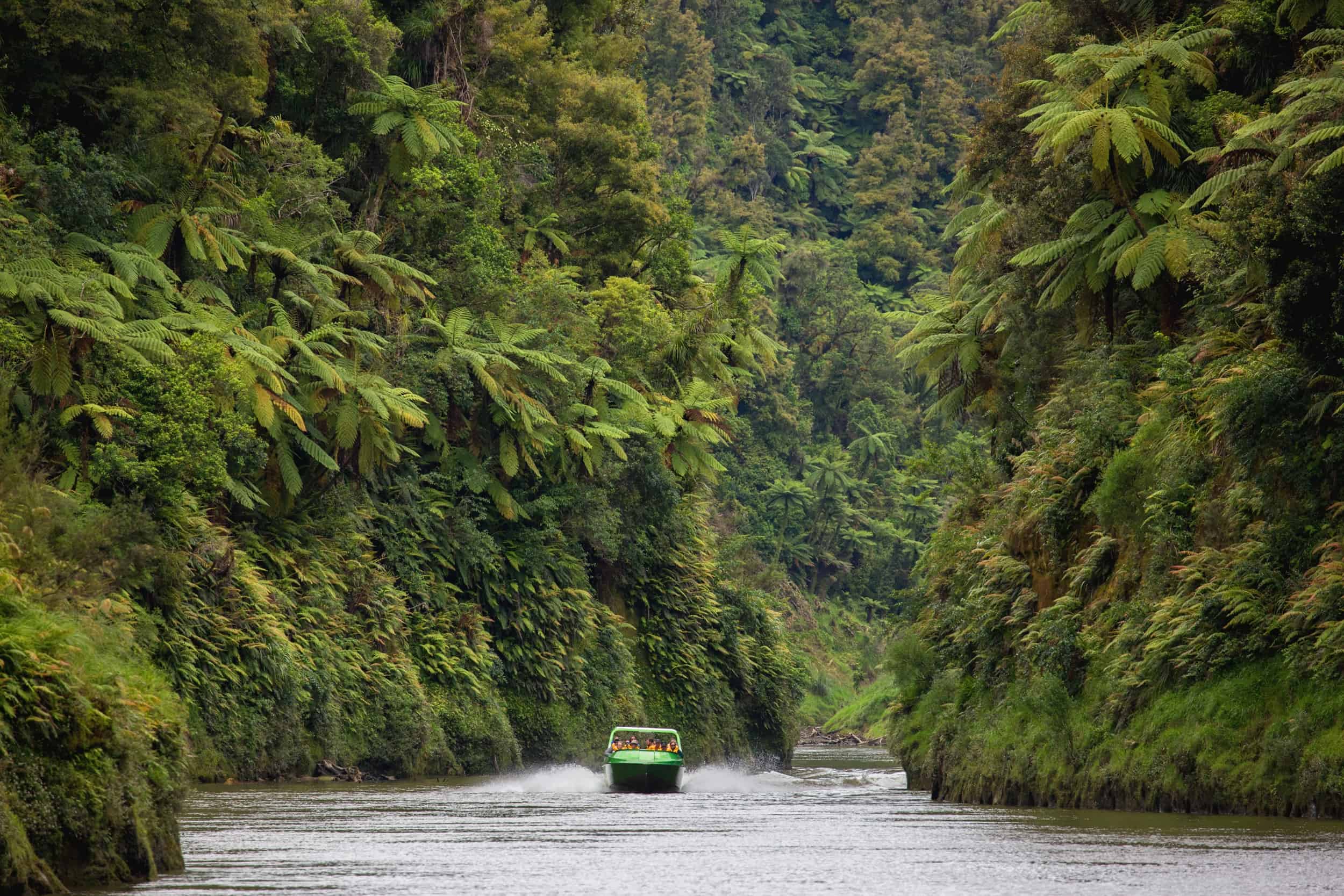 whanganui-river-shot