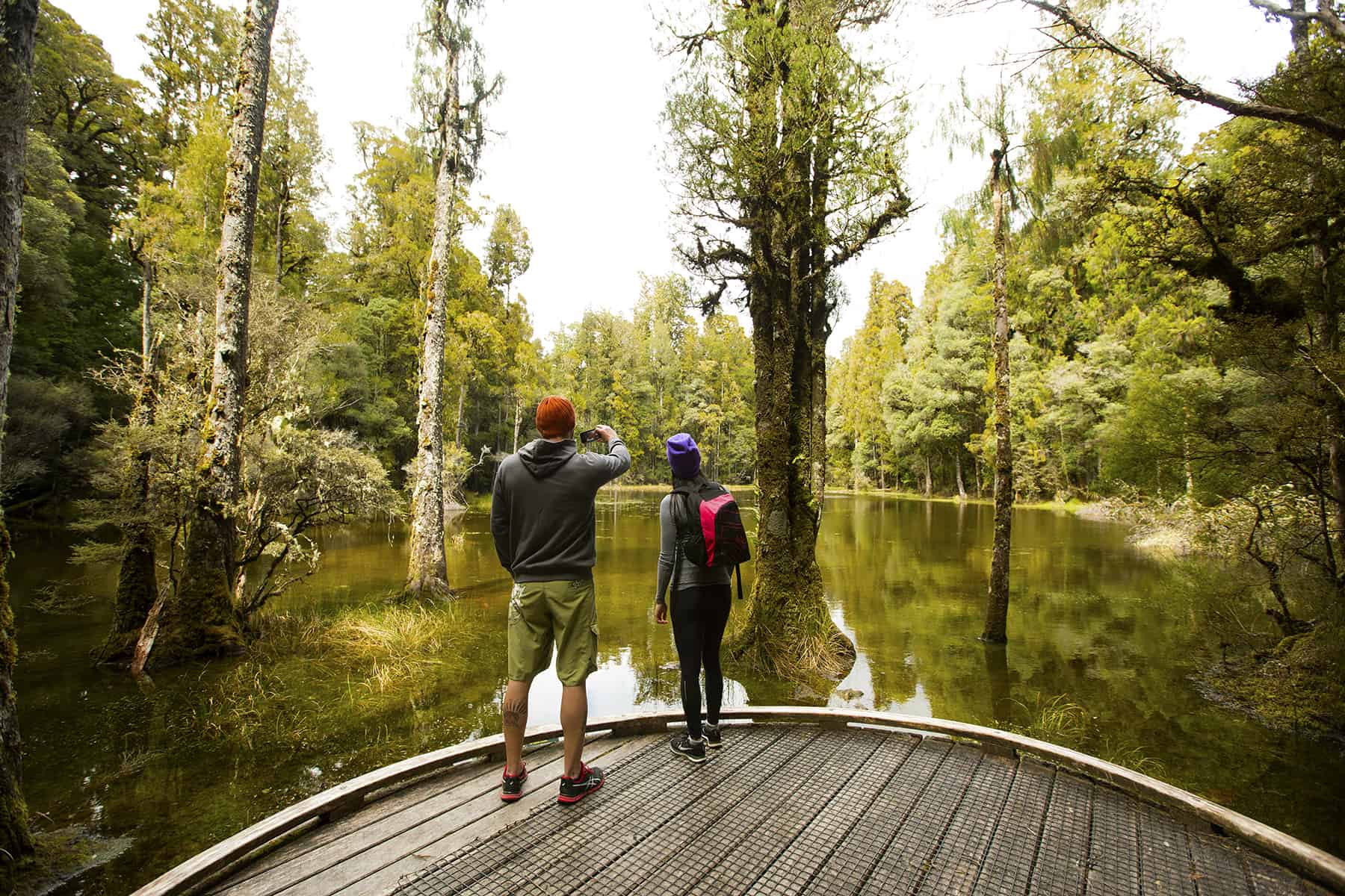 Waihora-Lagoon-walking-track-at-Pureora-Forest-Park